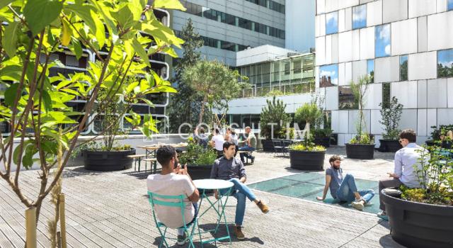 A louer bureaux en très bon état avec terrasse